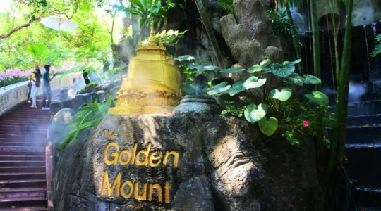 ワットサケット