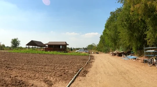 芋ほり遠足 