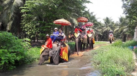 本格的な象乗り体験