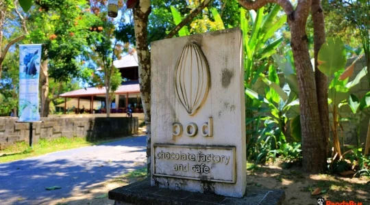 POD_01