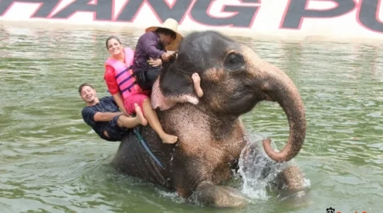 象と水遊び体験