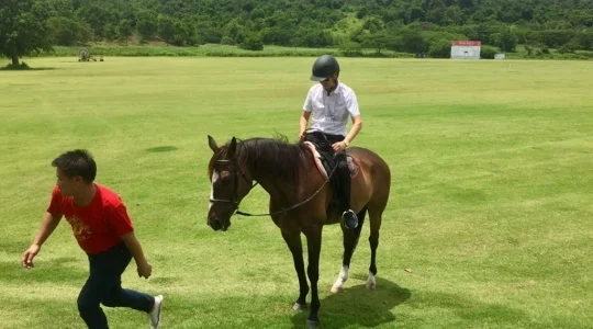 タイ・ポロクラブ見学+ 乗馬体験