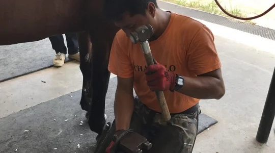 タイ・ポロ＆エクエストリアン