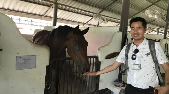 タイ・ポロ＆エクエストリアン