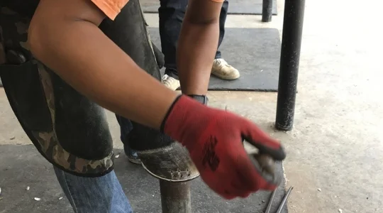 タイ・ポロ＆エクエストリアン