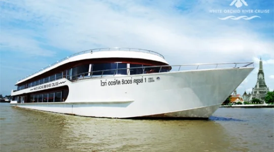 ホワイトオーキッド