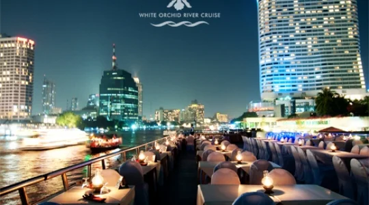 ホワイトオーキッド