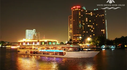 ホワイトオーキッド