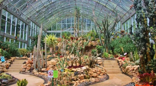 クブンラヤ植物園