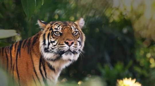 動物園
