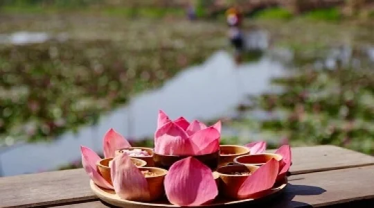 RED LOTUS FLOATING MARKET