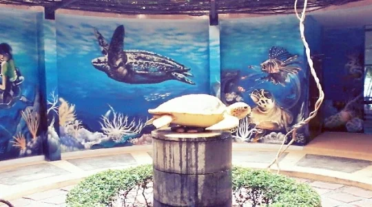 ウミガメ研究所
