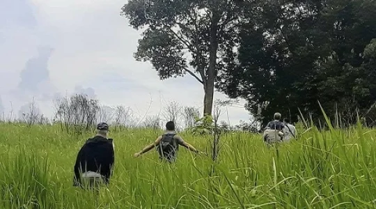 世界自然遺産カオヤイ 本格トレッキング