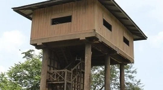 世界自然遺産カオヤイ 本格トレッキング