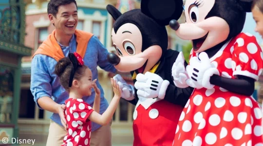 イメージ：ディズニーランド