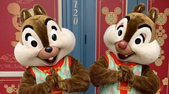 イメージ：ディズニーランド