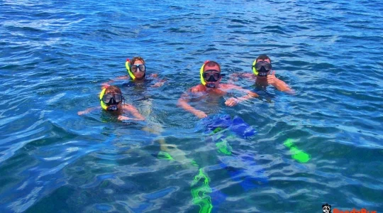 シュノーケリング