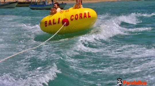 ドーナッツボート