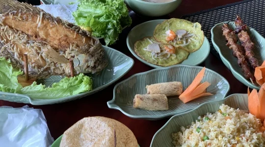 クチトンネル観光 + メコン川クルーズ