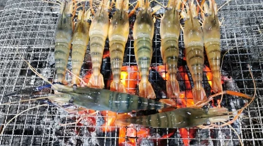 エビ釣りイメージ