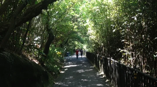 観光地イメージ