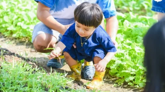 自然学習ファーム