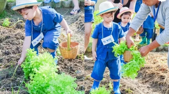自然学習ファーム