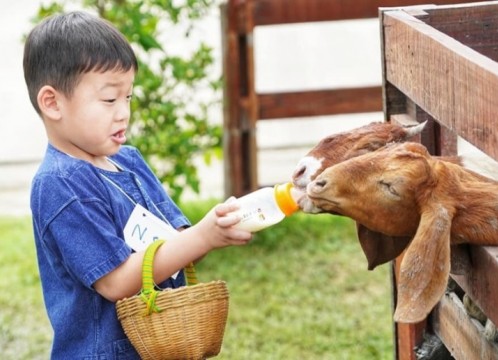 自然学習ファーム