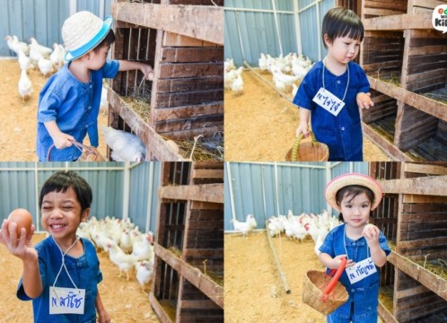 自然学習ファーム