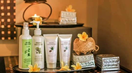 フランジパニスパ_09