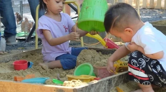 土砂をやる