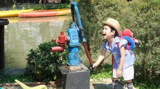 木に水をやる