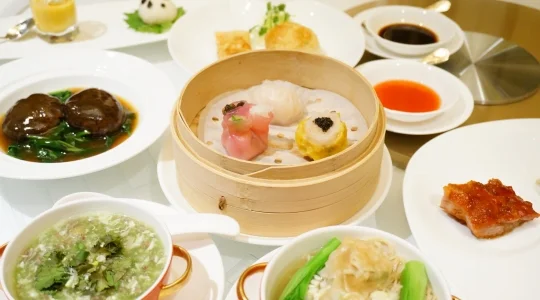 イメージ：シャンパレス飲茶