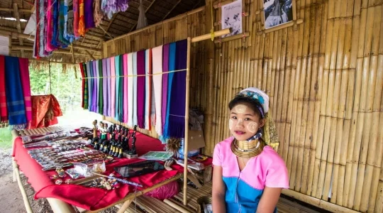 首長族付きプラン