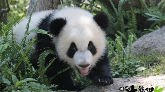 photo from MACAU INSTITUTO PARA OS ASSUNTOS MUNICIPAIS