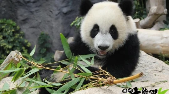 photo from MACAU INSTITUTO PARA OS ASSUNTOS MUNICIPAIS