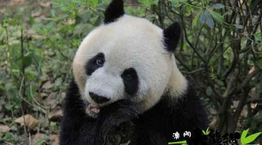 photo from MACAU INSTITUTO PARA OS ASSUNTOS MUNICIPAIS