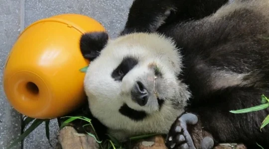 photo from MACAU INSTITUTO PARA OS ASSUNTOS MUNICIPAIS