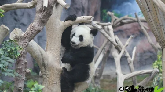 photo from MACAU INSTITUTO PARA OS ASSUNTOS MUNICIPAIS