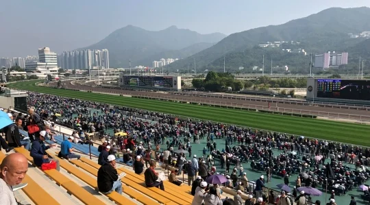 イメージ：競馬ツアー