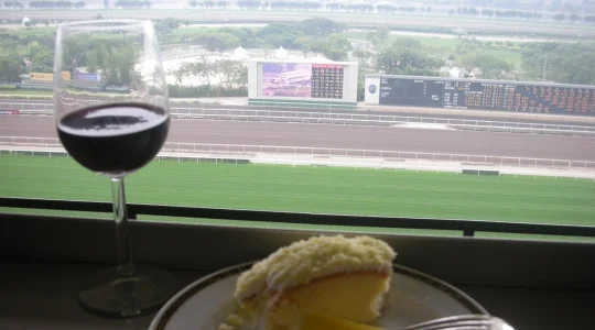 イメージ：競馬ツアー