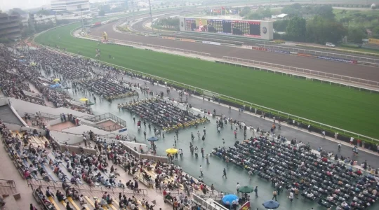 イメージ：競馬ツアー