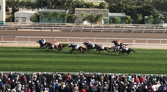 イメージ：競馬ツアー