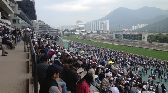 イメージ：競馬ツアー