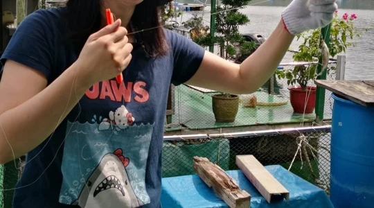 イメージ：海釣り&海水浴ツアー