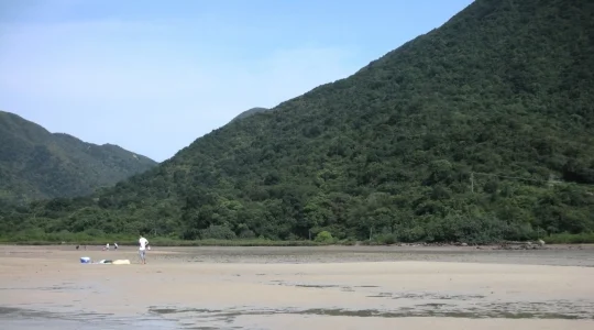 イメージ”：潮干狩りツアー