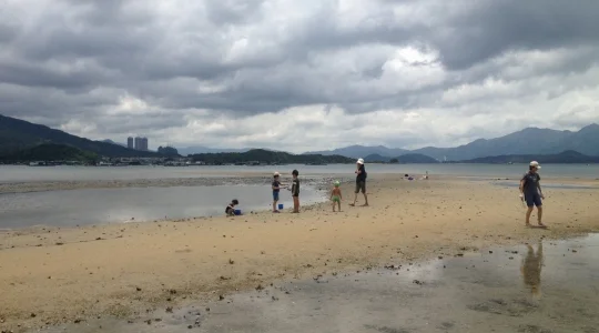イメージ”：潮干狩りツアー