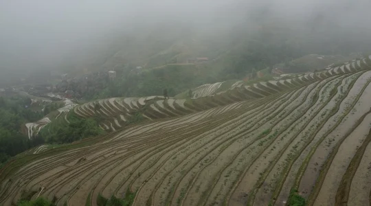 龍勝棚田 イメージ