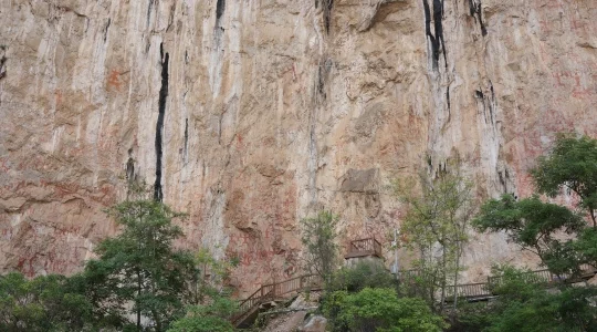 南寧 佐江花山 イメージ