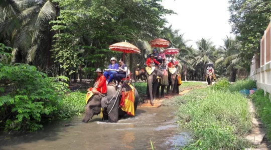 本格象乗りと水上マーケット